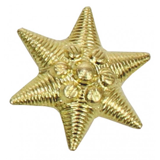 Magyar arany csillag rangjelzés, tiszt